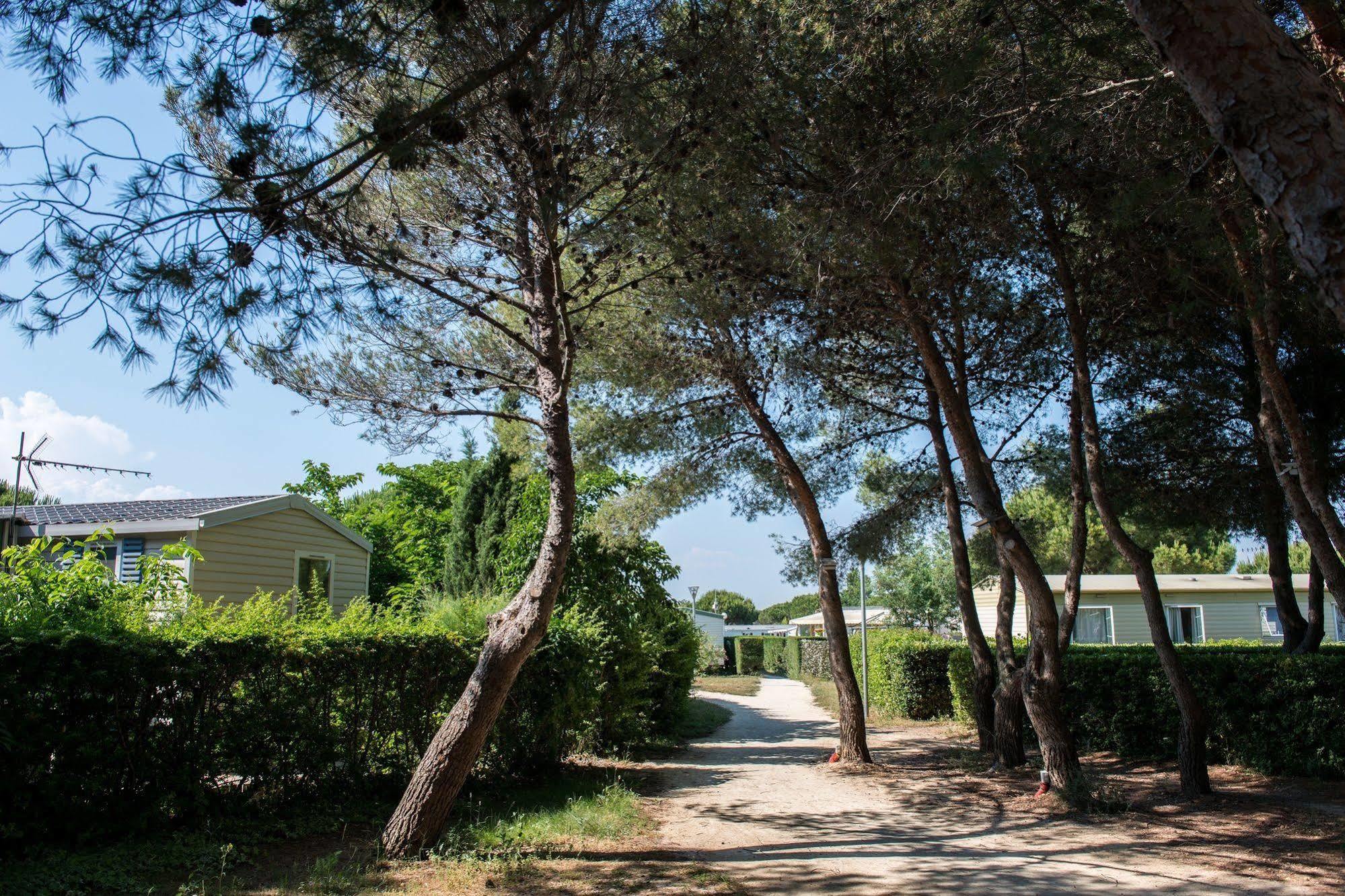 Camping Officiel Siblu Le Lac Des Reves Lattes Εξωτερικό φωτογραφία